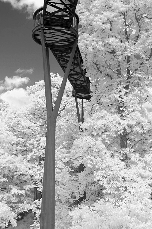 Kew Gardens - Monochrome