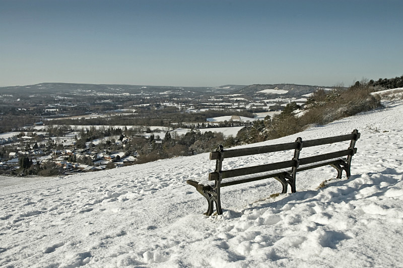 View from Reigate Hill - Trees & Landscape