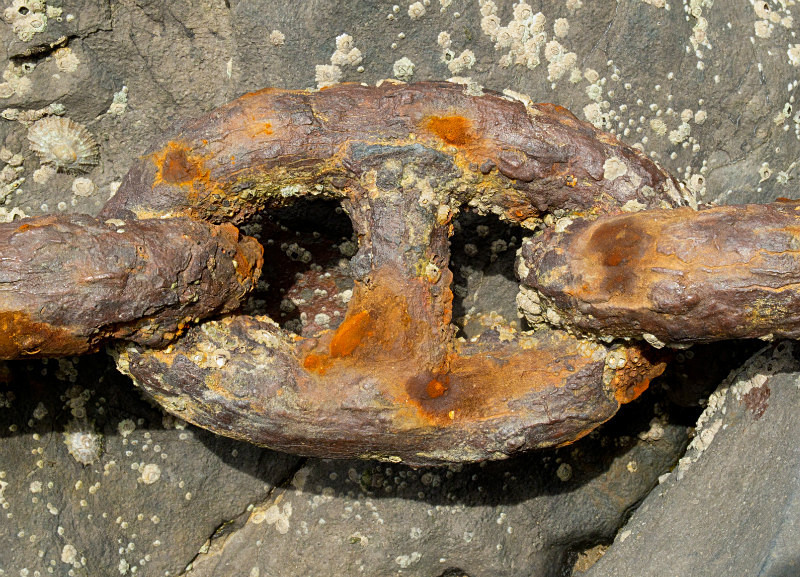 Chain link, Stackpole Quay - Coastal
