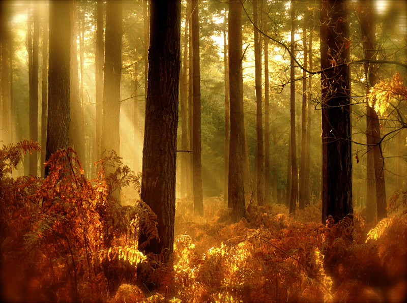  - Photography by Maria