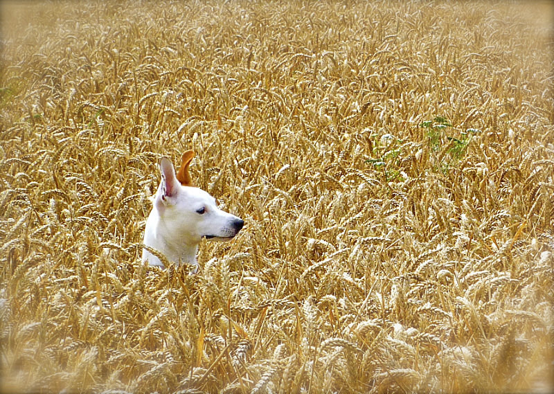  - Photography by Maria