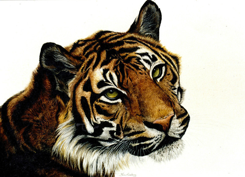  - Maria's Paintings