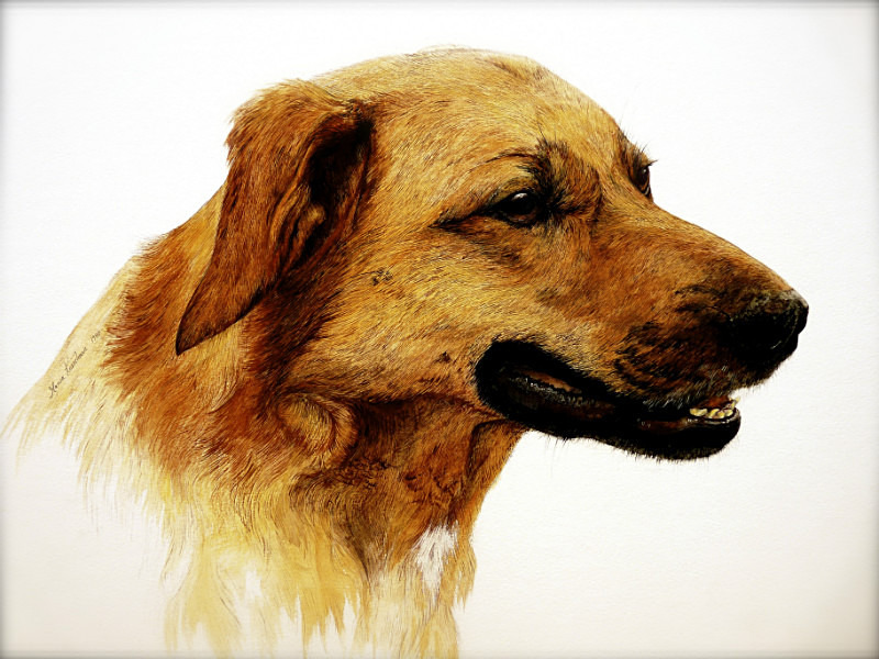  - Maria's Paintings