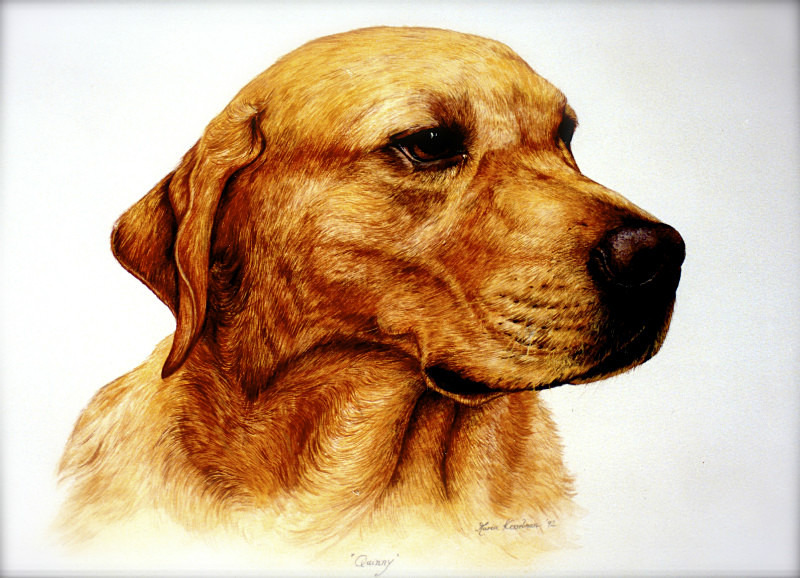  - Maria's Paintings