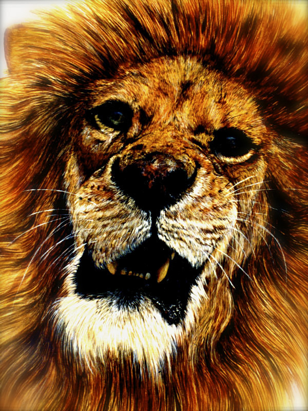  - Maria's Paintings