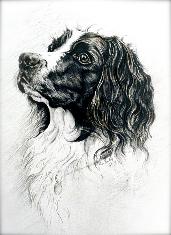  - Maria's Paintings