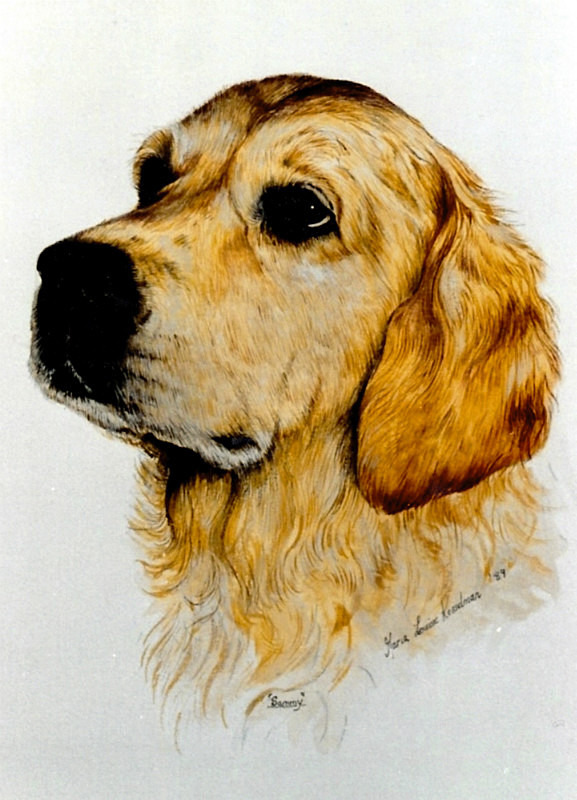  - Maria's Paintings