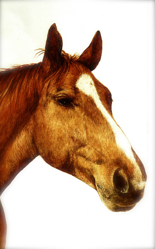  - Maria's Paintings