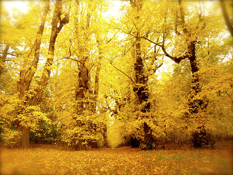  - Photography by Maria