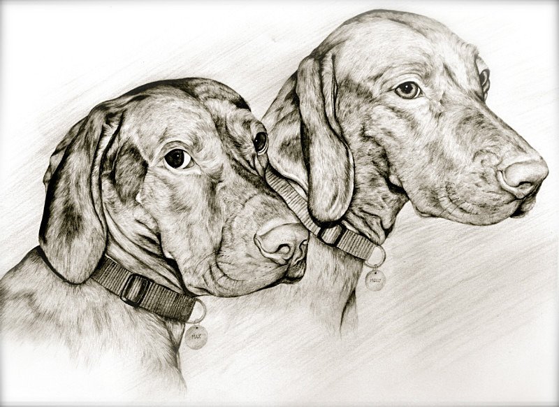  - Maria's Paintings