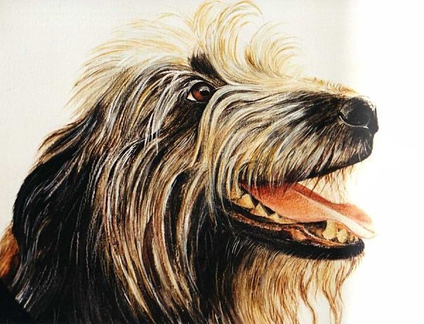  - Maria's Paintings