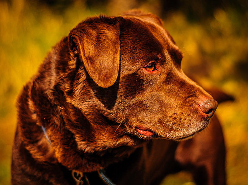 Jake I : Mark Geddis Photography - Landscape, Portrait & Commercial Photography.
