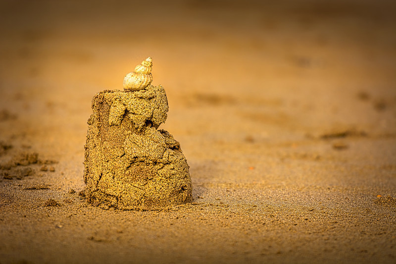 Shell & Sand : Mark Geddis Photography - Landscape, Portrait & Commercial Photography.
