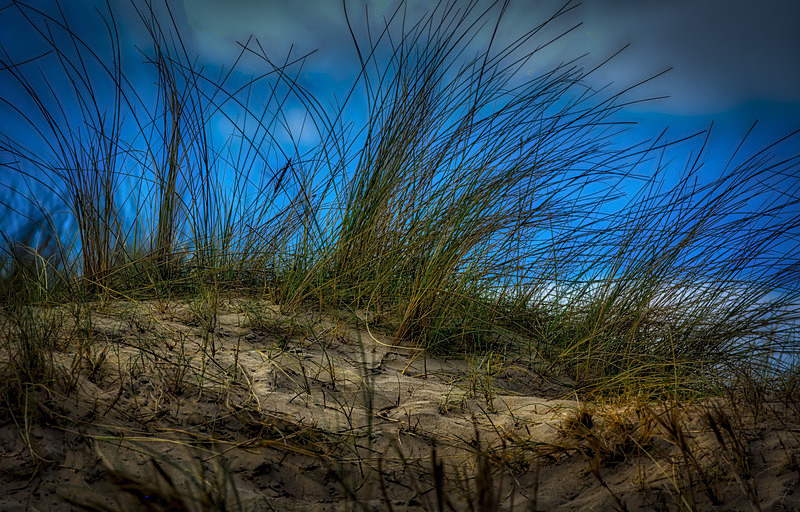 Grass : Mark Geddis Photography - Landscape, Portrait & Commercial Photography.