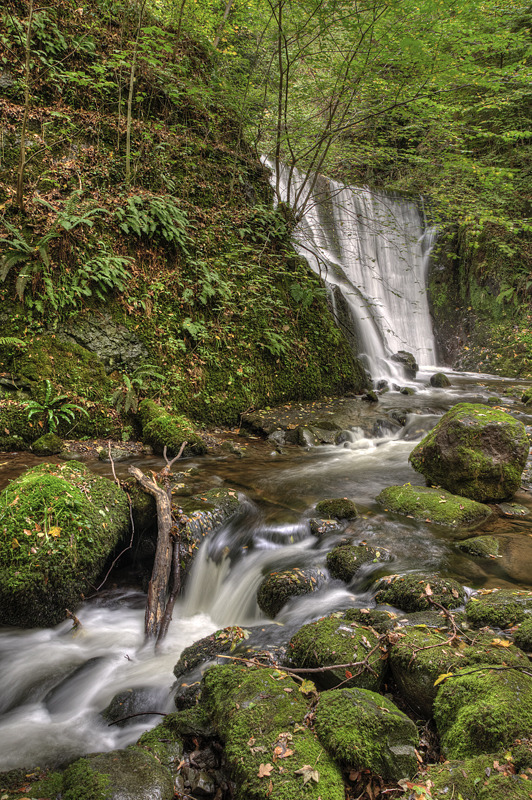 McArthur glen falls 01 - Clackmannan & Stirlingshire