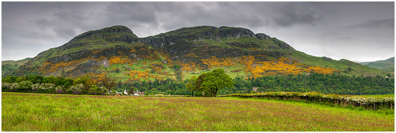 Dumyat from Gogar Loan, Blairlogie. - Clackmannan & Stirlingshire