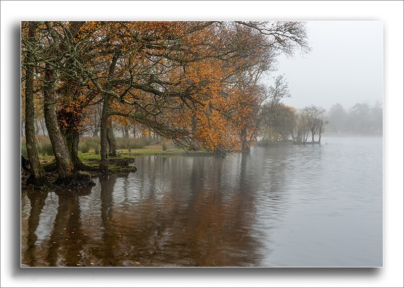 Kinlochard Misty reflections - The loch Lomond & Trossachs national park