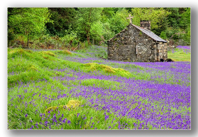 St Johns bluebell church - Highlands & Islands