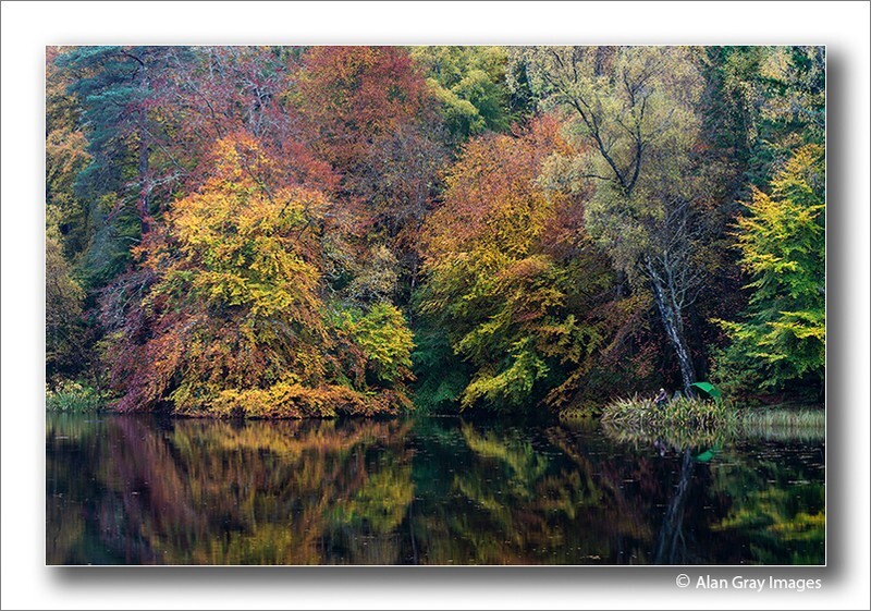 The Autumnal Fisherman - Perth & KInross