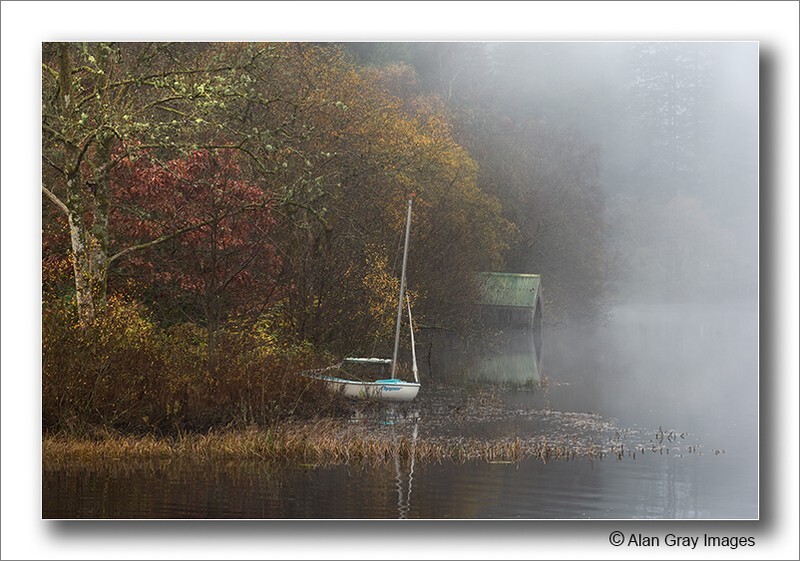 Nipper on Milton Basin Loch Ard - The loch Lomond & Trossachs national park