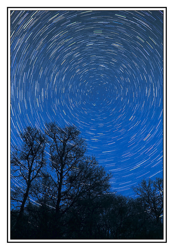 Startrail tree line - Clackmannan & Stirlingshire