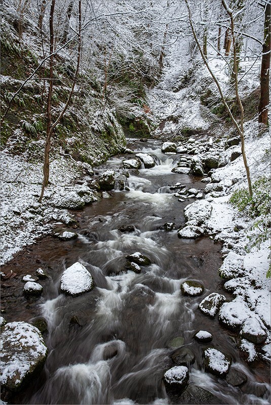 Alva Burn - Clackmannan & Stirlingshire