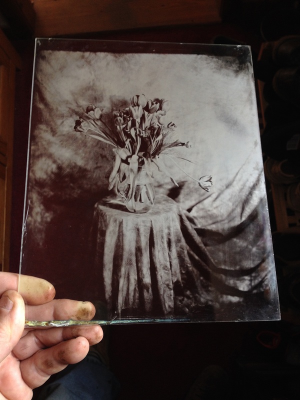  - Some recent plates