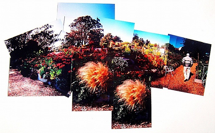  - Portfolio