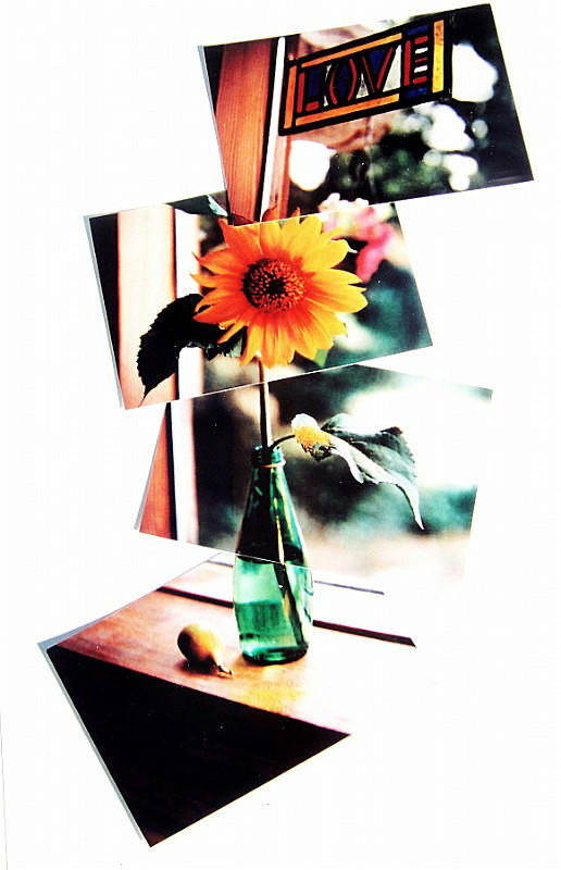  - Portfolio