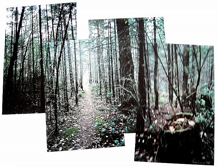  - Portfolio