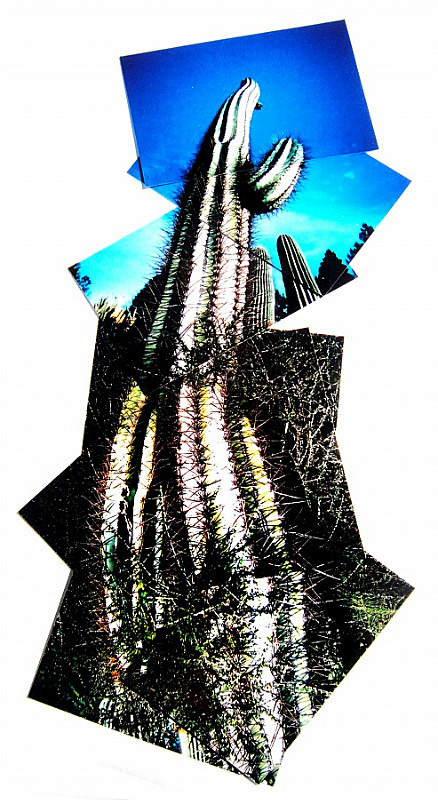  - Portfolio