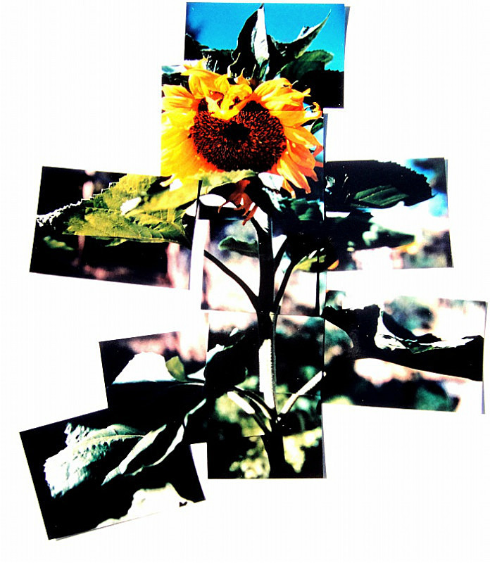 - Portfolio