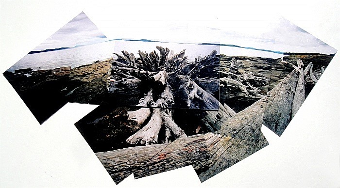  - Portfolio