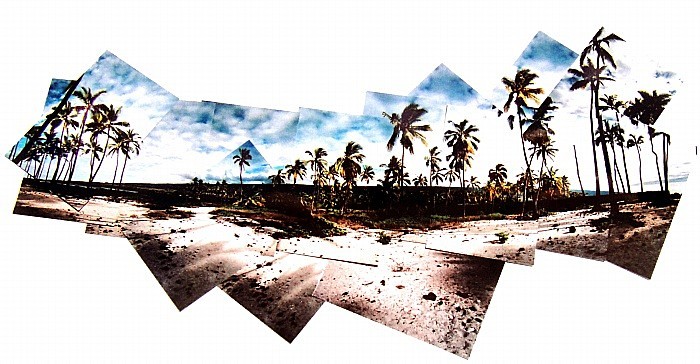  - Portfolio