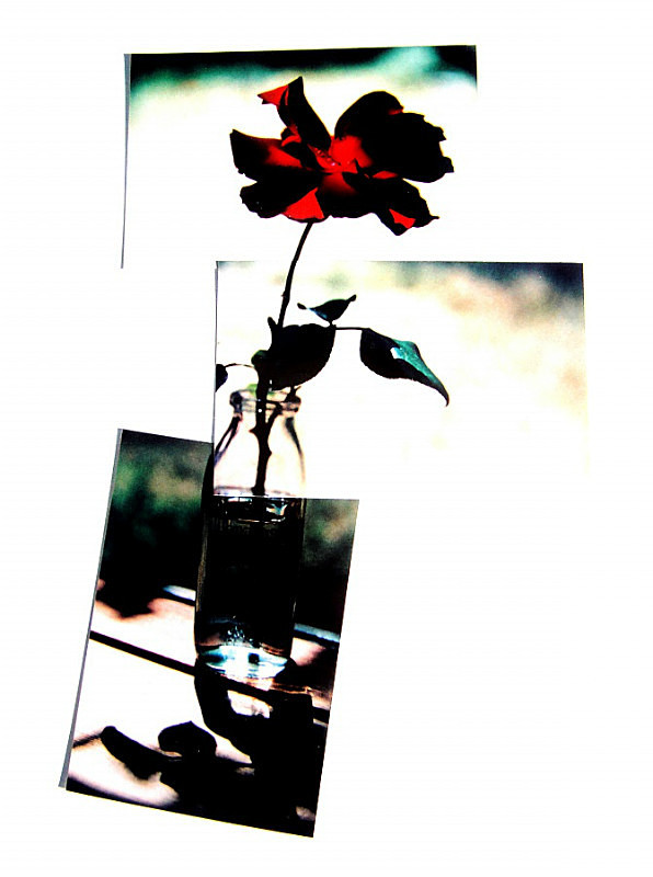  - Portfolio