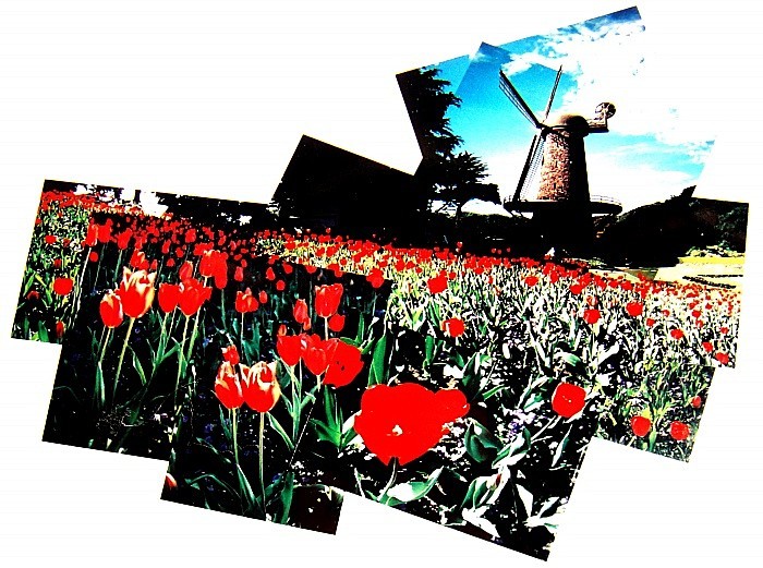  - Portfolio