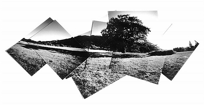  - Portfolio
