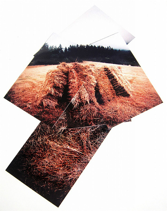  - Portfolio