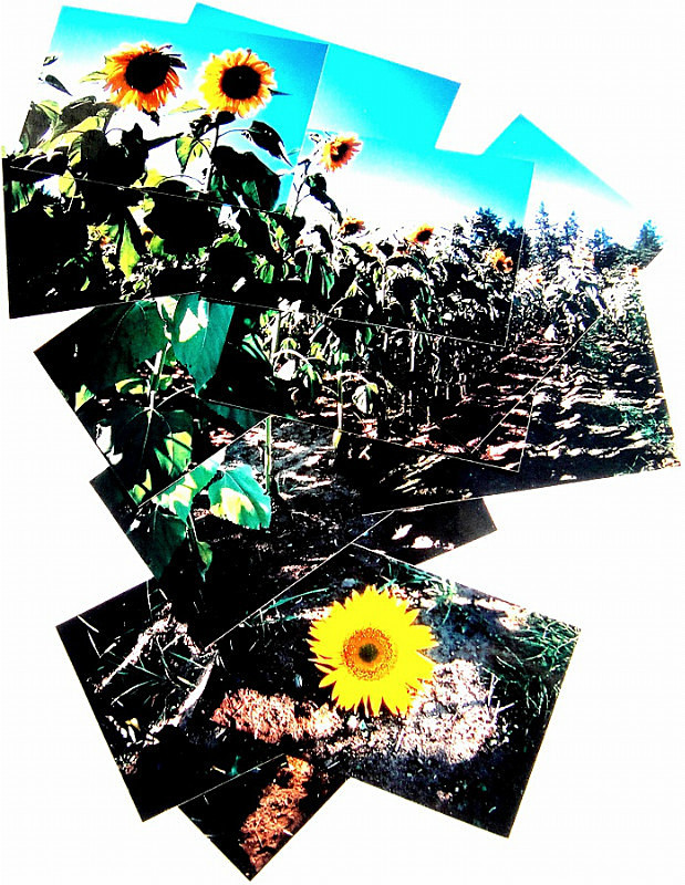  - Portfolio