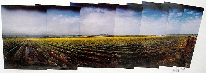  - Portfolio