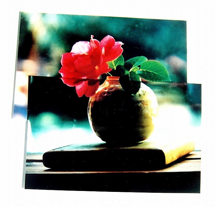  - Portfolio