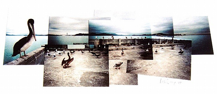  - Portfolio