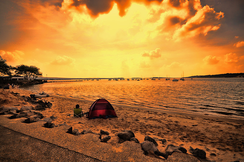  - Landscapes