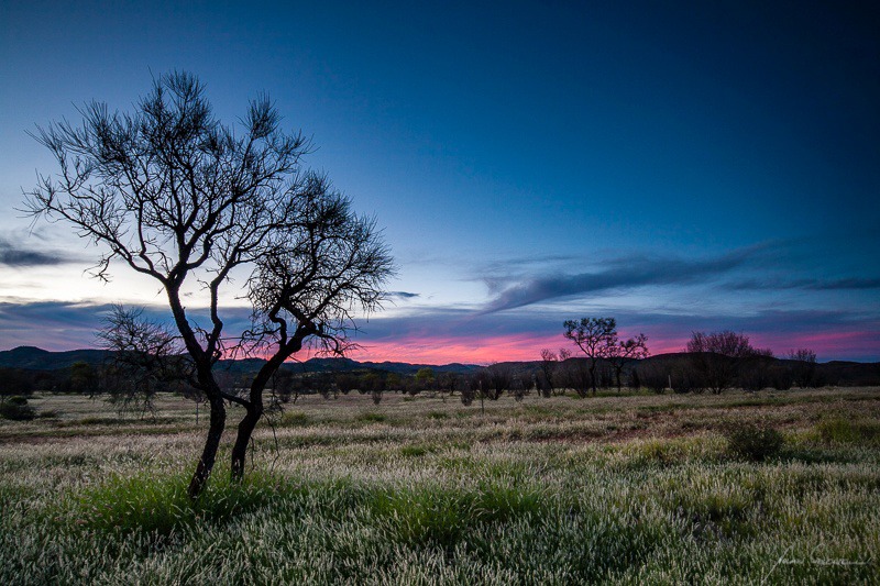 Setting in Pink - Alice Springs and Southern N.T.