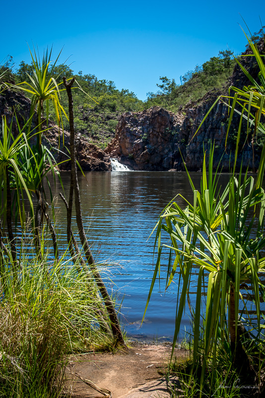 Edith through Pandanus - Katherine & the Southern Top End