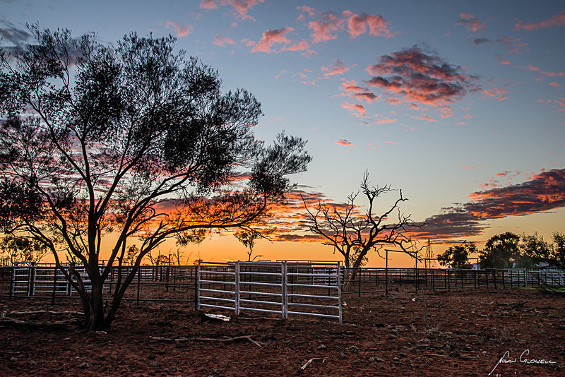 The Yards at EJ's - Alice Springs and Southern N.T.