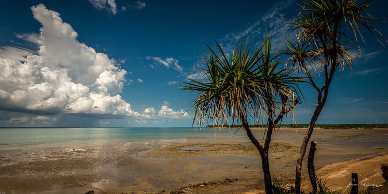 Low Tide - Darwin Foreshore