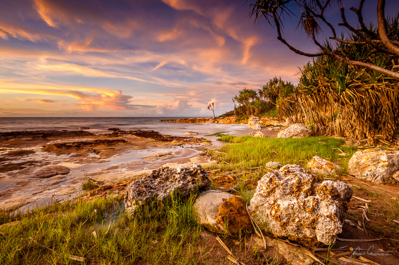 Rock Platform - Darwin Foreshore