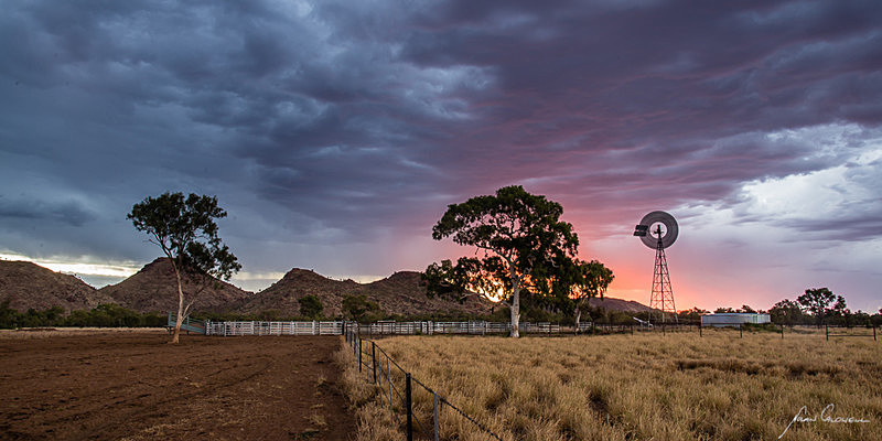Pigeon Yards - Alice Springs and Southern N.T.