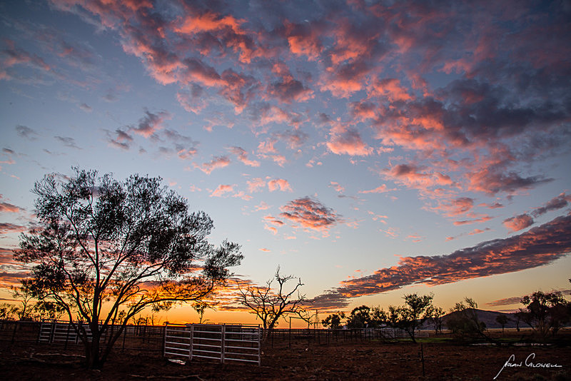 Outback Sunrise - Alice Springs and Southern N.T.